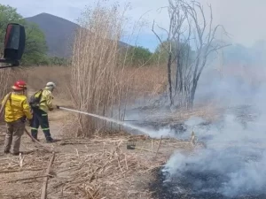 Un incendio arrasó 25 hectáreas en La Isla y fue controlado por bomberos