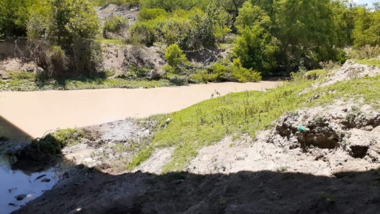 Hallaron un cráneo en la zona del río Arenales