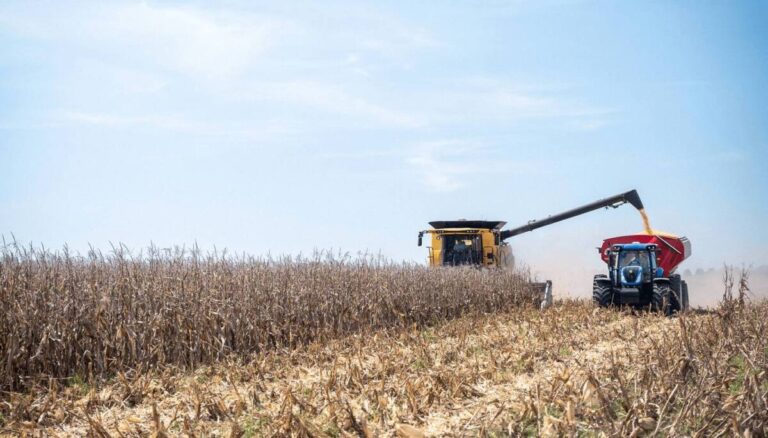 Crecimiento histórico de la producción de maíz