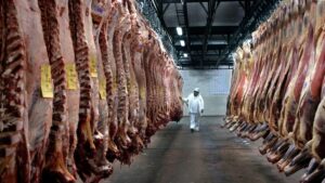 Se incrementó 54% la exportación de carne vacuna en el primer trimestre del año