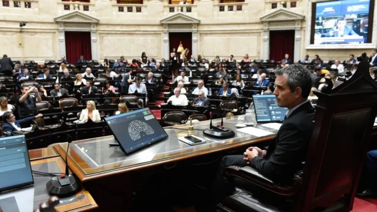 Diputados: presentaron un proyecto para legalizar la eutanasia y la muerte asistida