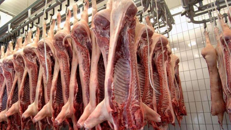 Crecieron 161% las exportaciones de carne porcinas argentinas