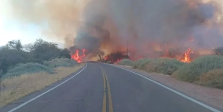 Hay fuertes sospechas que el incendio en Cafayate fue intencional
