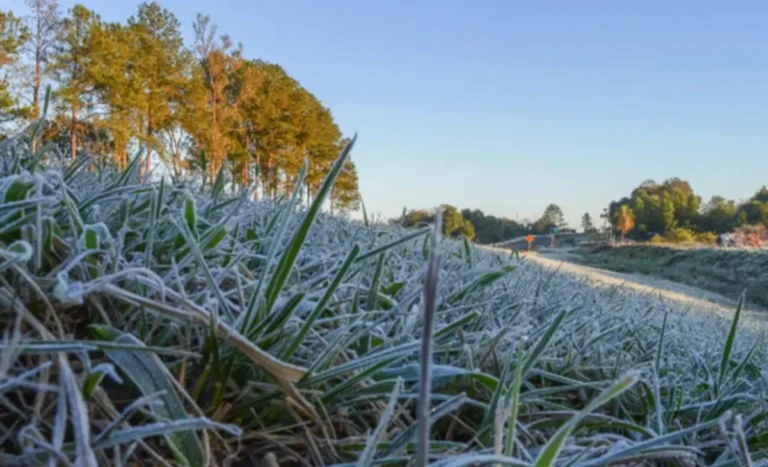 Siguen las bajas temperaturas en Salta y el frio seguirá por semanas