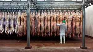 Argentina cuadruplicó las exportaciones de carne a Estados Unidos, pero cayó el consumo interno