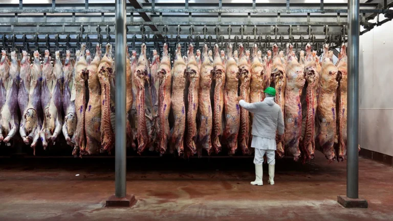 Argentina cuadruplicó las exportaciones de carne a Estados Unidos, pero cayó el consumo interno