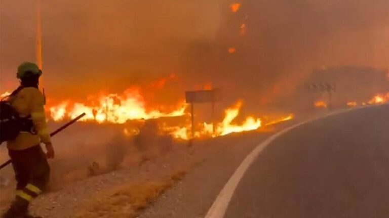 Un incendio forestal en España dejó al menos 12 muertos y más de 50 heridos.