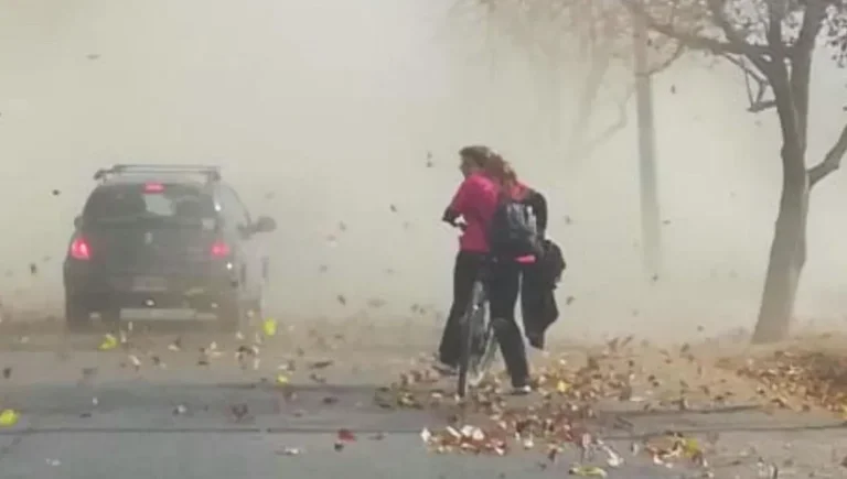 Alerta naranja por viento Zonda en Salta