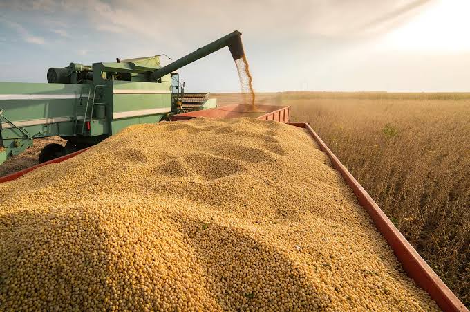 La cosecha de soja superó las 50 millones de toneladas