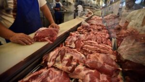 El consumo interno de carne vacuna cayó más de 11%