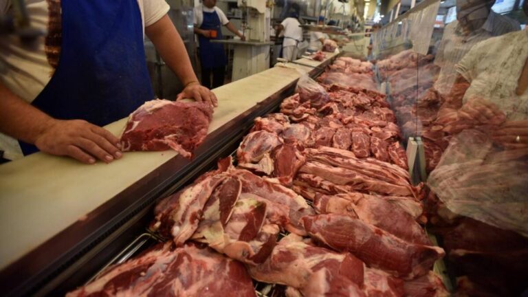 El consumo interno de carne vacuna cayó más de 11%