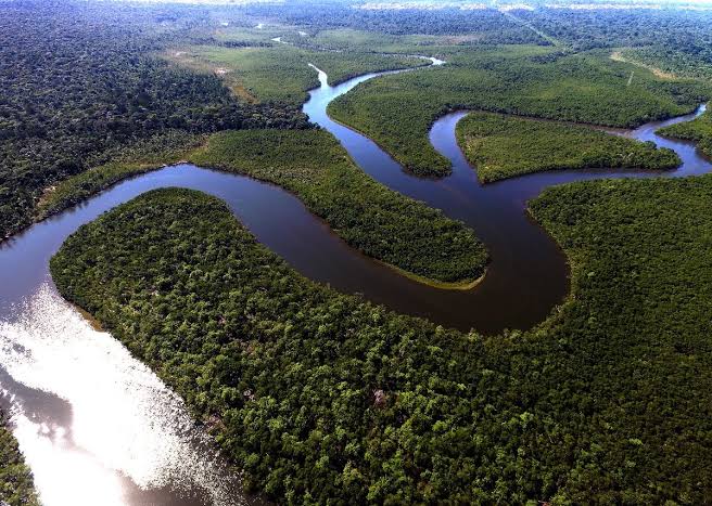 Brasil: Los incendios en la Amazonia cayeron durante 2025 a su mínimo histórico en 40 años
