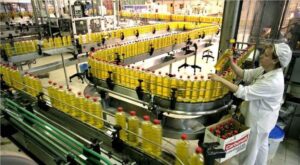 La economía argentina creció en el primer semestre