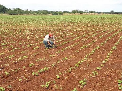 Es critica la falta de mano obra de calidad en el Valle de Lerma