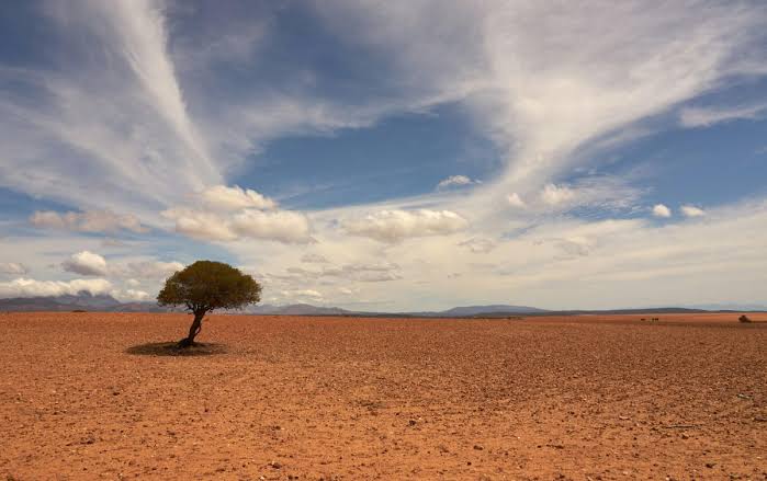 Advierten que el Súper Niño podría provocar más de 370.000 muertes por calor extremo