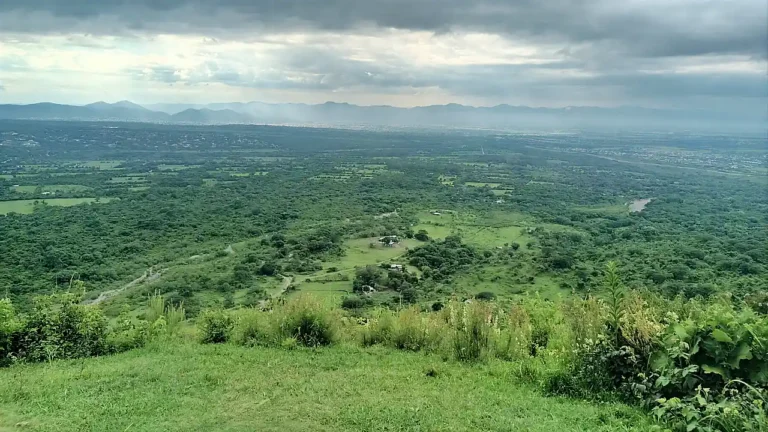 El Estado avanza en la recuperación de las tierras de finca Las Costas